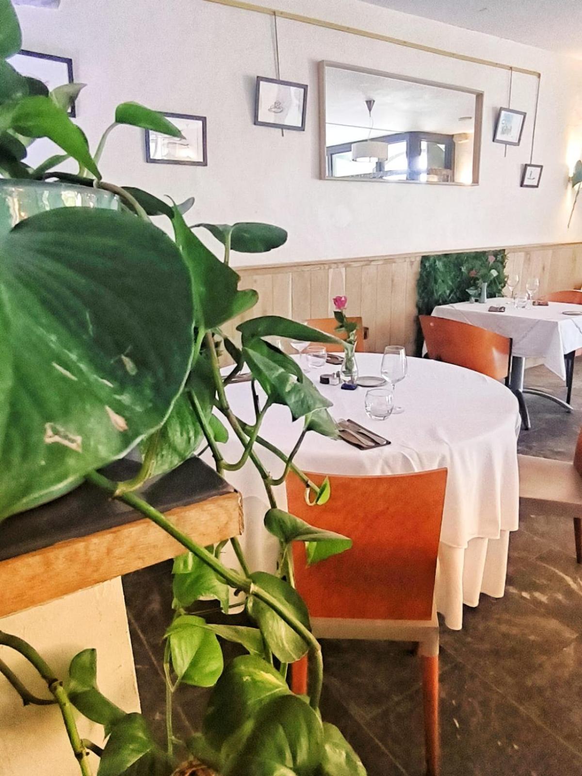 Chateau D'Arance Hotel Restaurant Espace Bien-Etre 塞特埃甘 外观 照片
